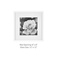 Gallery Solutions 9 Piece White Square Photo Frame Gallery Wall Kit With Decorative Art Prints & Hanging Template